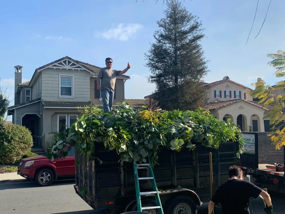 Trusted garden landscaping for beautiful yards across San Diego, CA - Aquino's Landscaping and Maintenance