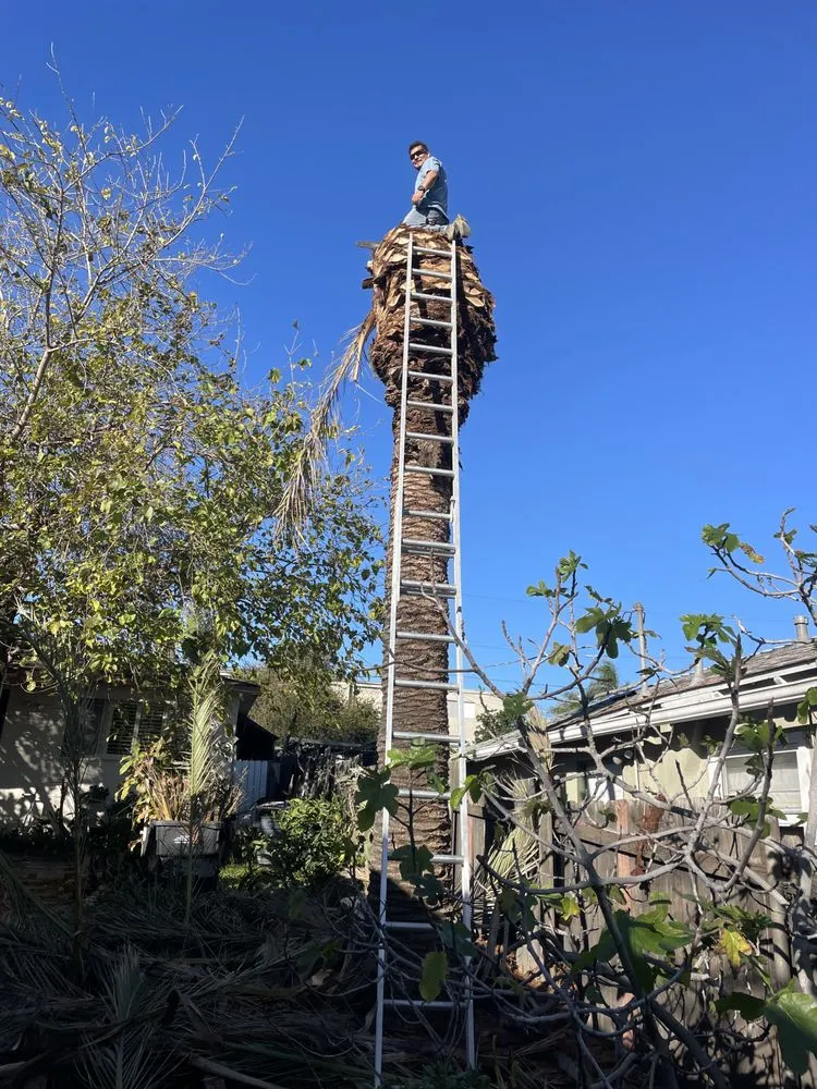 Professional garden landscaping near you across San Diego, CA - Aquino's Landscaping and Maintenance