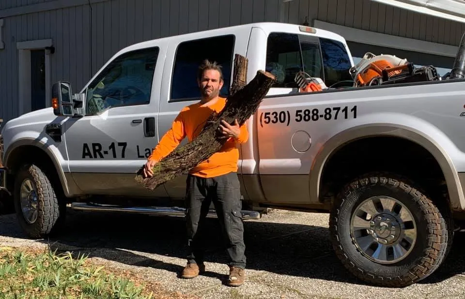 Reliable lawn care service in Colfax, CA by AR-17 Land & Tree
