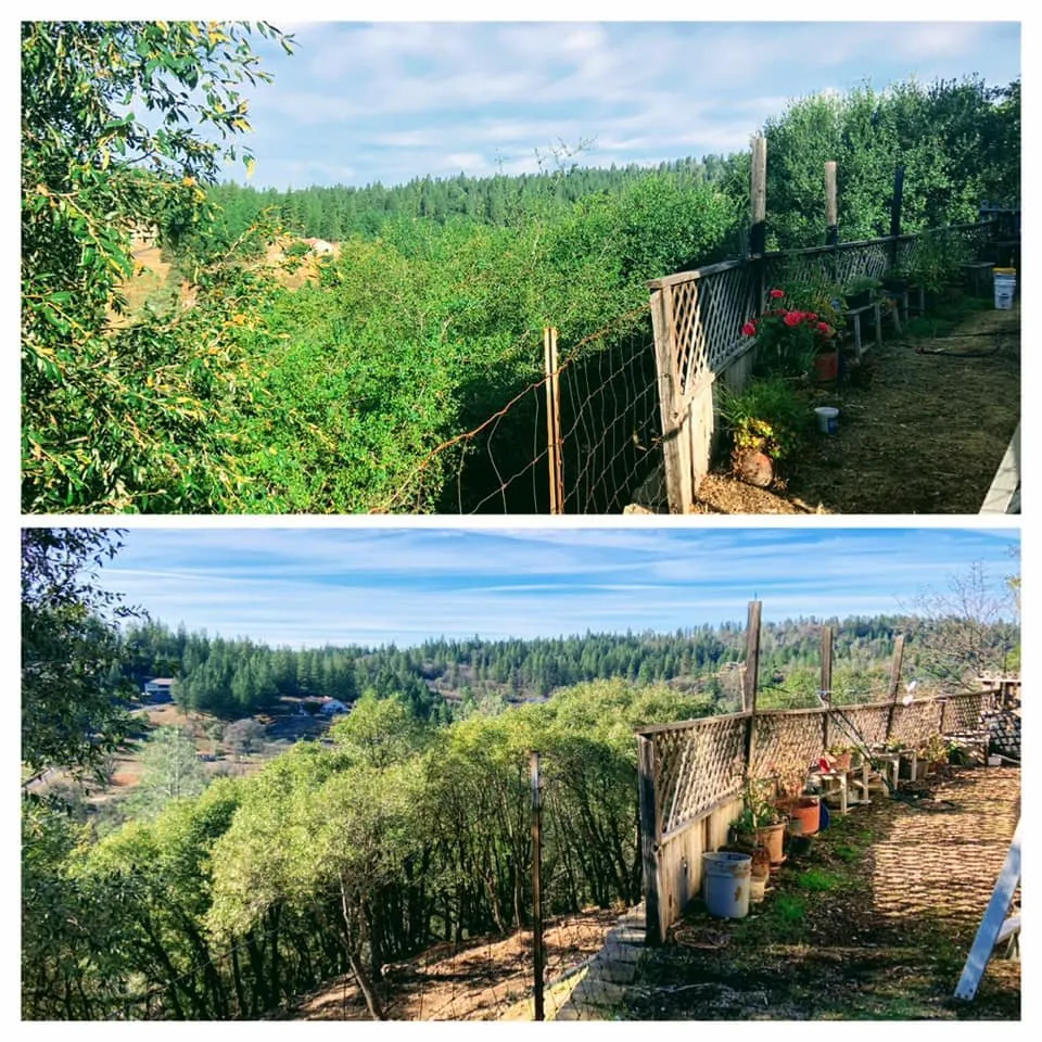 Affordable landscape design experts serving Colfax, CA - AR-17 Land & Tree