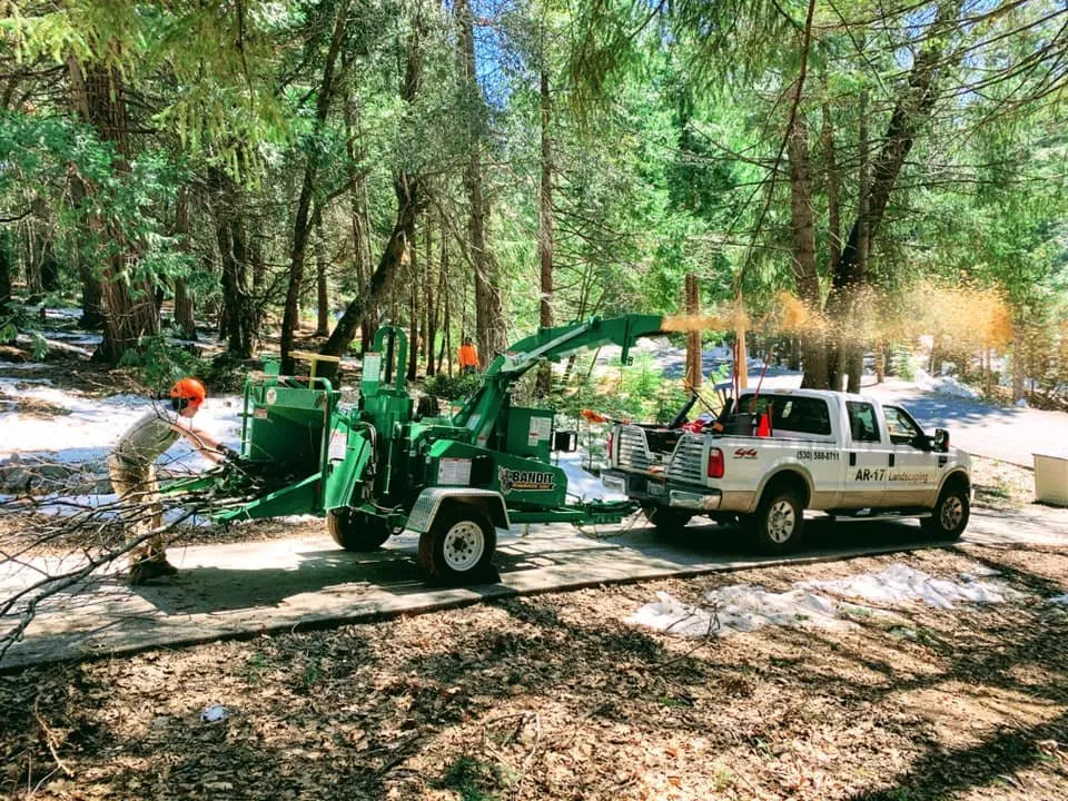 Reliable lawn care service in Colfax, CA - AR-17 Land & Tree