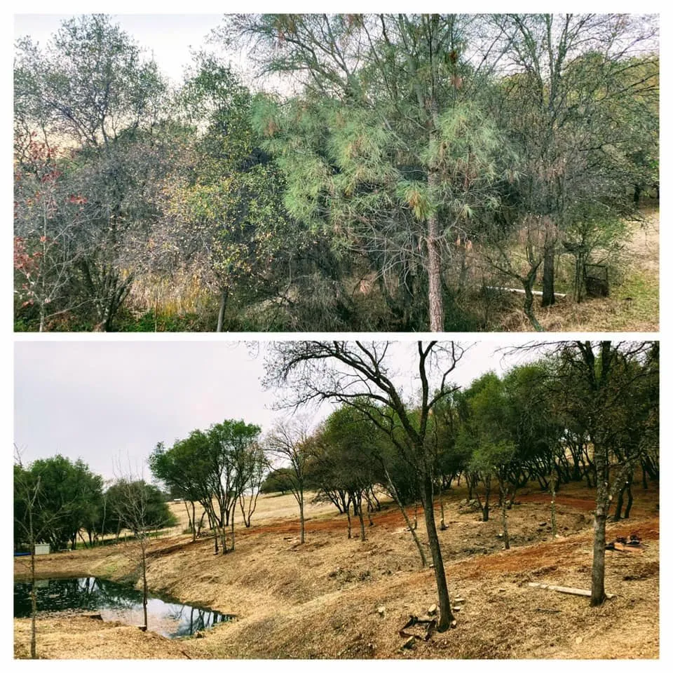 Local lawn mowing service experts serving Colfax, CA - AR-17 Land & Tree