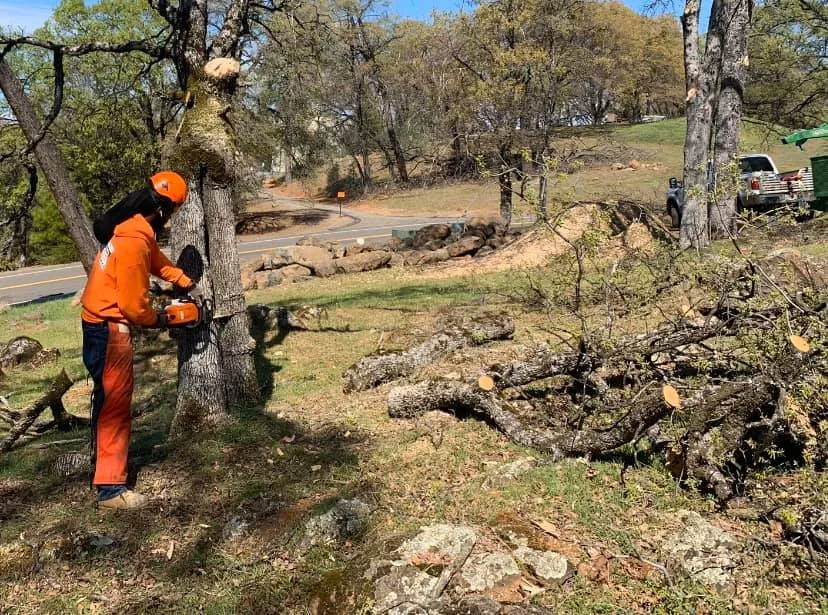 Professional lawn mowing service experts serving Colfax, CA - AR-17 Land & Tree