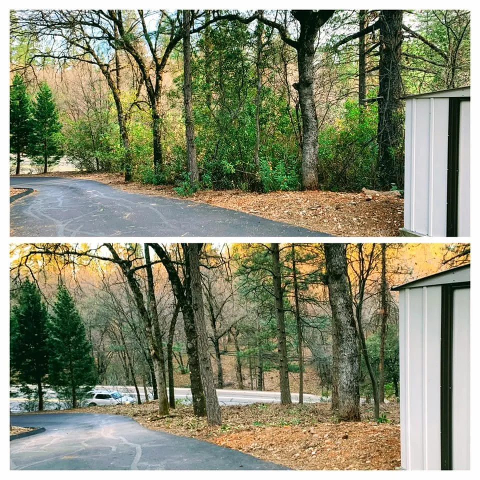 Custom outdoor landscaping for homes in Colfax, CA by AR-17 Land & Tree