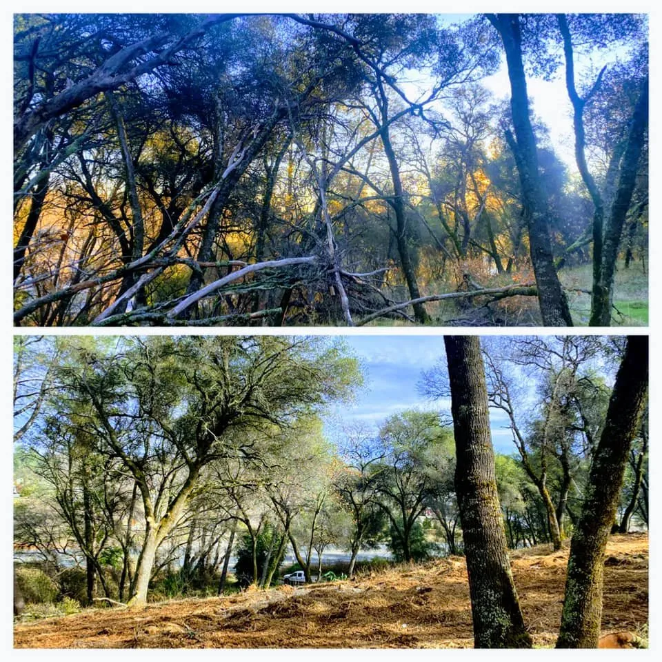 Trusted yard maintenance for homes in Colfax, CA by AR-17 Land & Tree