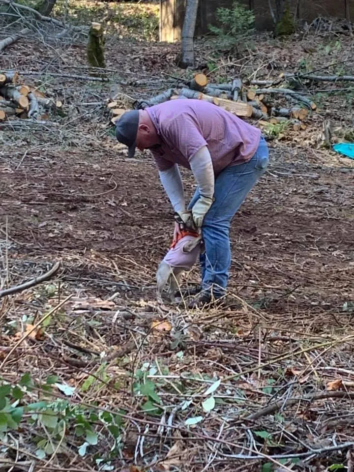 Affordable landscape installation experts serving Colfax, CA - AR-17 Land & Tree