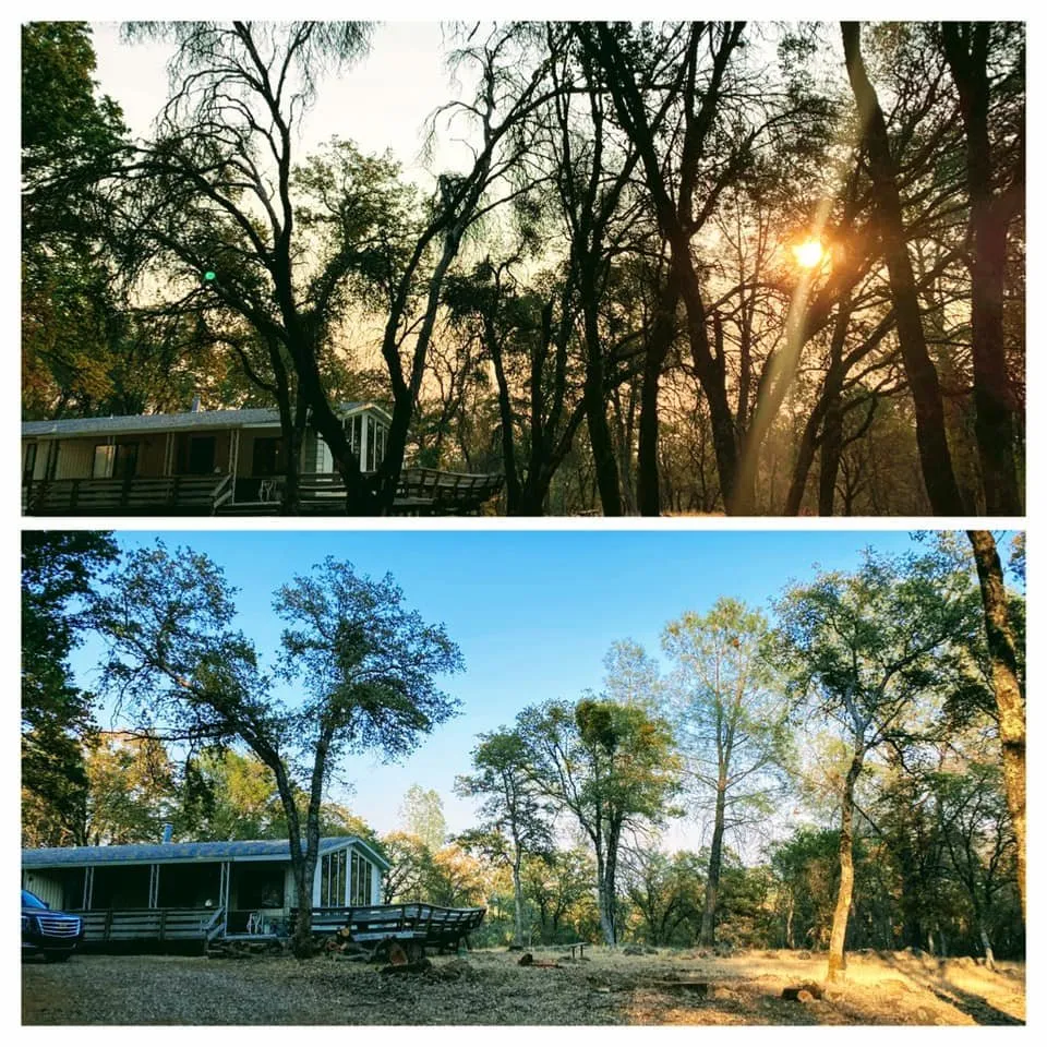 Top-rated lawn care service experts serving Colfax, CA - AR-17 Land & Tree