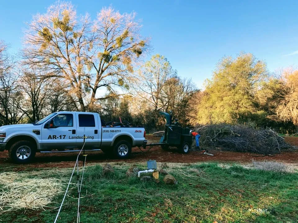 Professional garden landscaping in Colfax, CA - AR-17 Land & Tree
