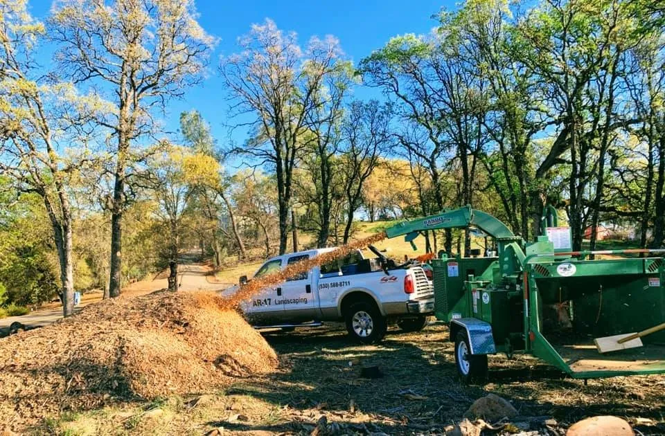 Expert yard maintenance in Colfax, CA - AR-17 Land & Tree