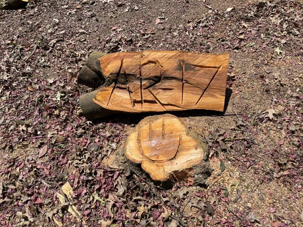 Trusted landscape installation in Colfax, CA - AR-17 Land & Tree