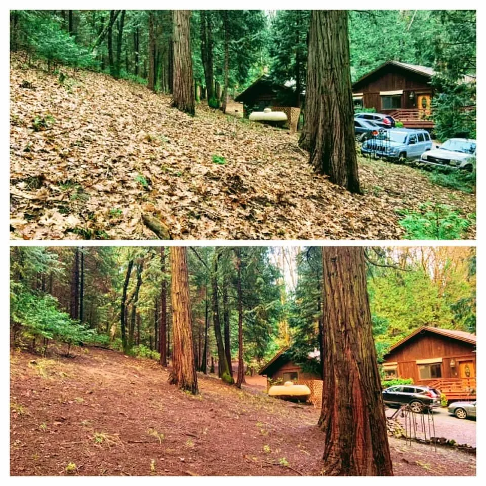 Top-rated yard maintenance experts serving Colfax, CA - AR-17 Land & Tree