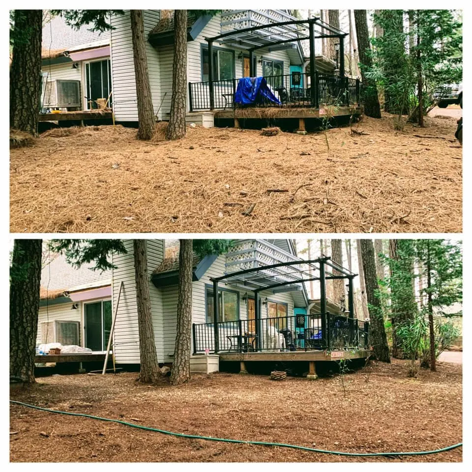 Affordable yard cleanup service experts serving Colfax, CA - AR-17 Land & Tree