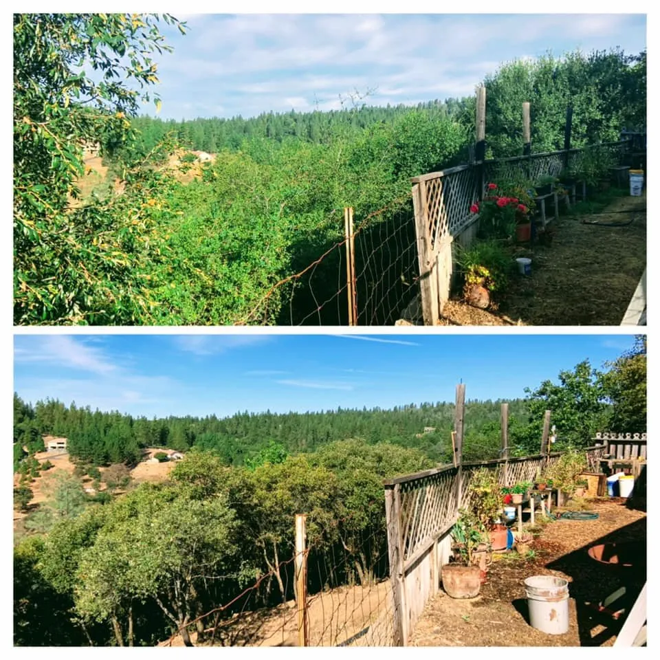 Local yard maintenance for residential properties across Colfax, CA - AR-17 Land & Tree