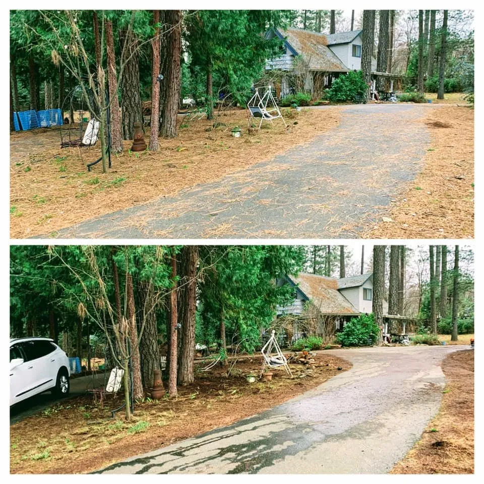 Trusted residential landscaping in Colfax, CA by AR-17 Land & Tree