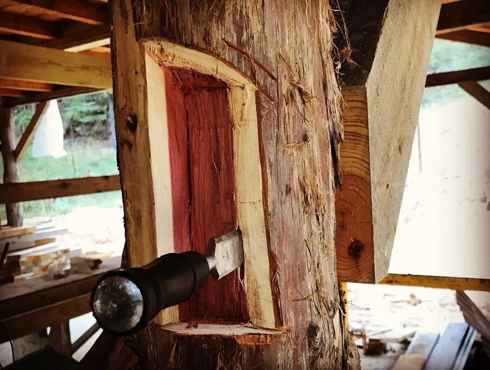 Affordable lawn care service in Fayetteville, AR by AR Custom Landscape