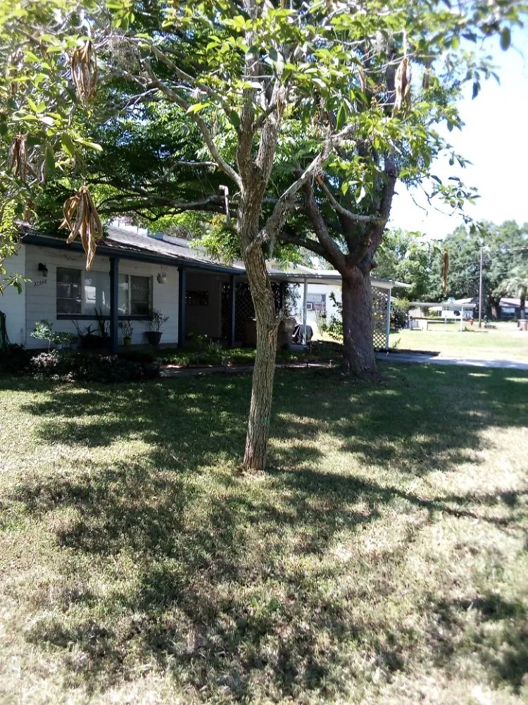 Expert landscape installation experts serving Eustis, FL - A&R Custom Lawn Care