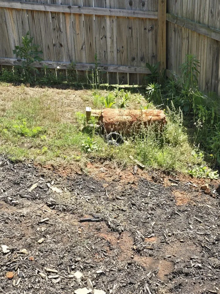 Affordable lawn mowing service for residential properties in Raleigh, NC by AR Design N Landscaping Firm