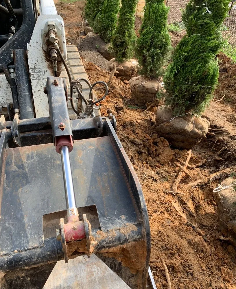 Reliable yard maintenance in Raleigh, NC by AR Design N Landscaping Firm