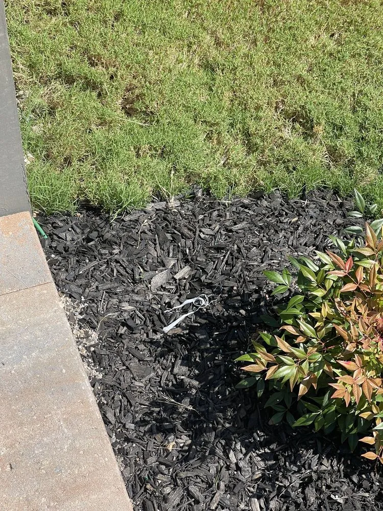 Top-rated yard cleanup service for year-round maintenance across Raleigh, NC - AR Design N Landscaping Firm