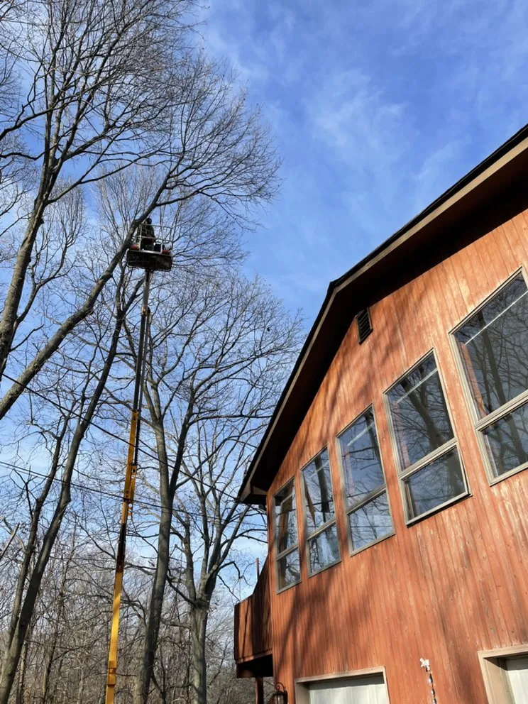 Custom landscaping services for beautiful yards across Warwick, RI - A&R Excavation And Landscaping