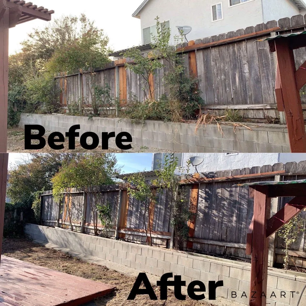 Trusted yard cleanup service experts serving Watsonville, CA - A&R Gardening