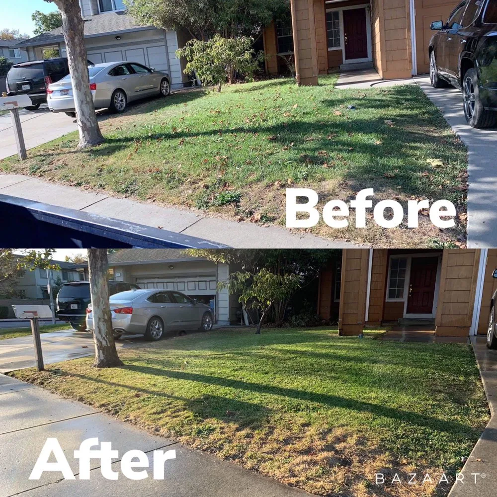 Reliable outdoor landscaping near you in Watsonville, CA by A&R Gardening