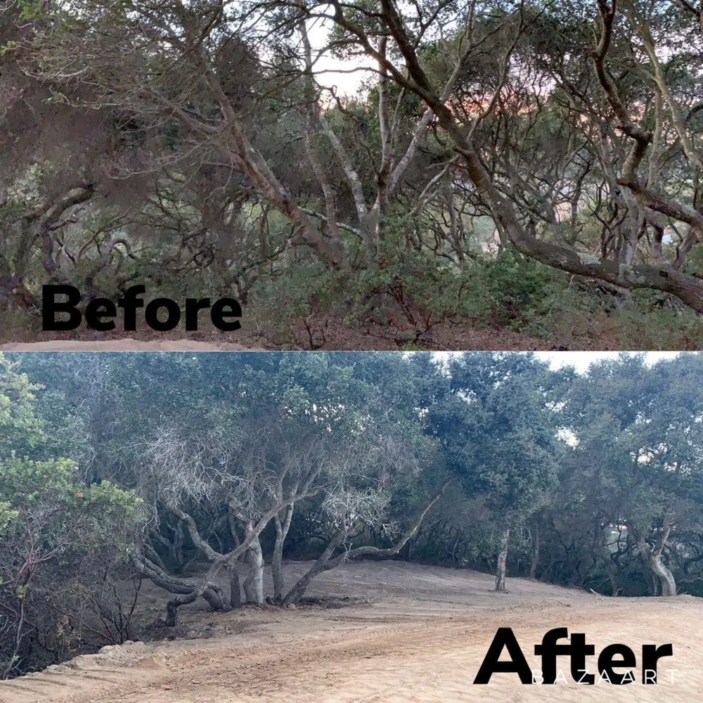 Local outdoor landscaping in Watsonville, CA - A&R Gardening