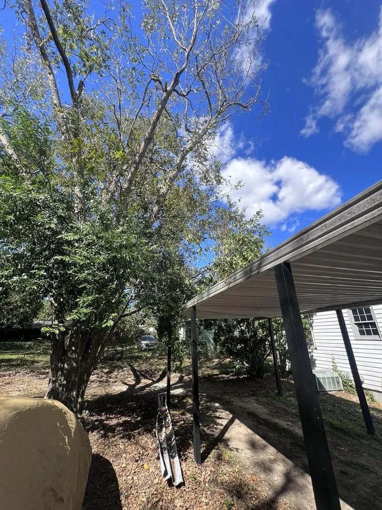 Custom landscape design for beautiful yards in Albany, GA by A&R Global