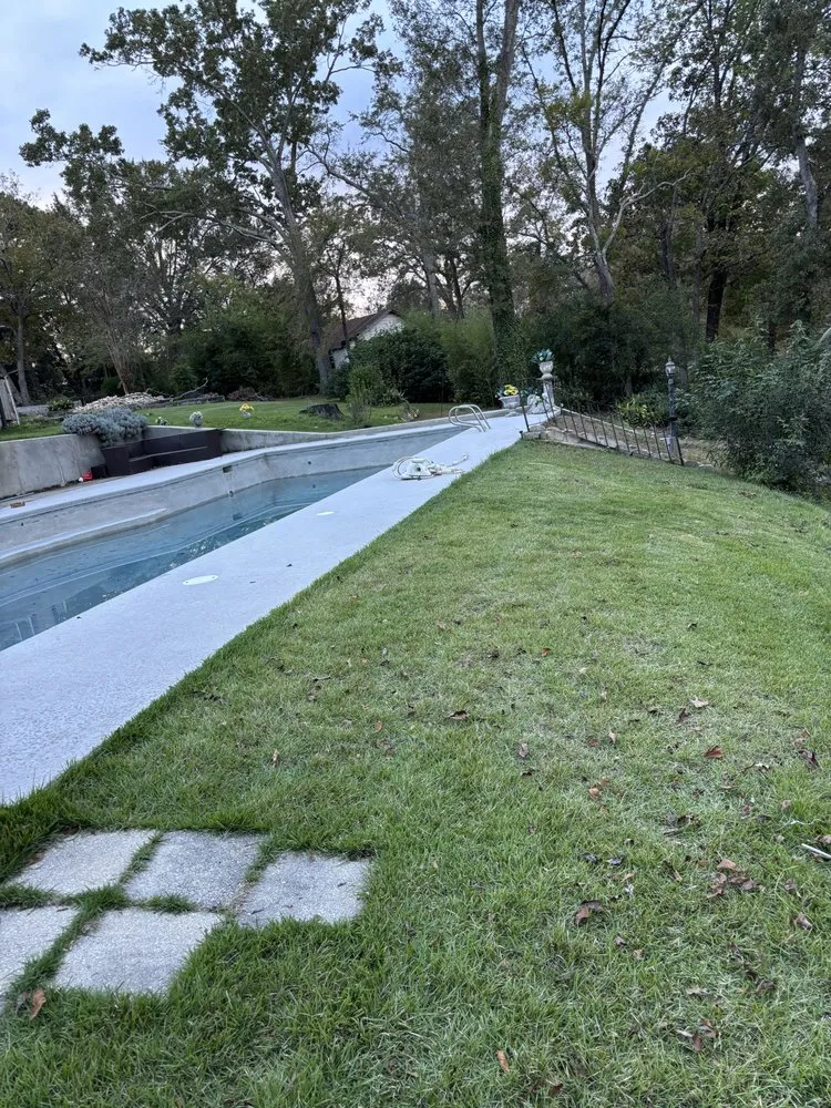 Local yard cleanup service in Albany, GA by A&R Global