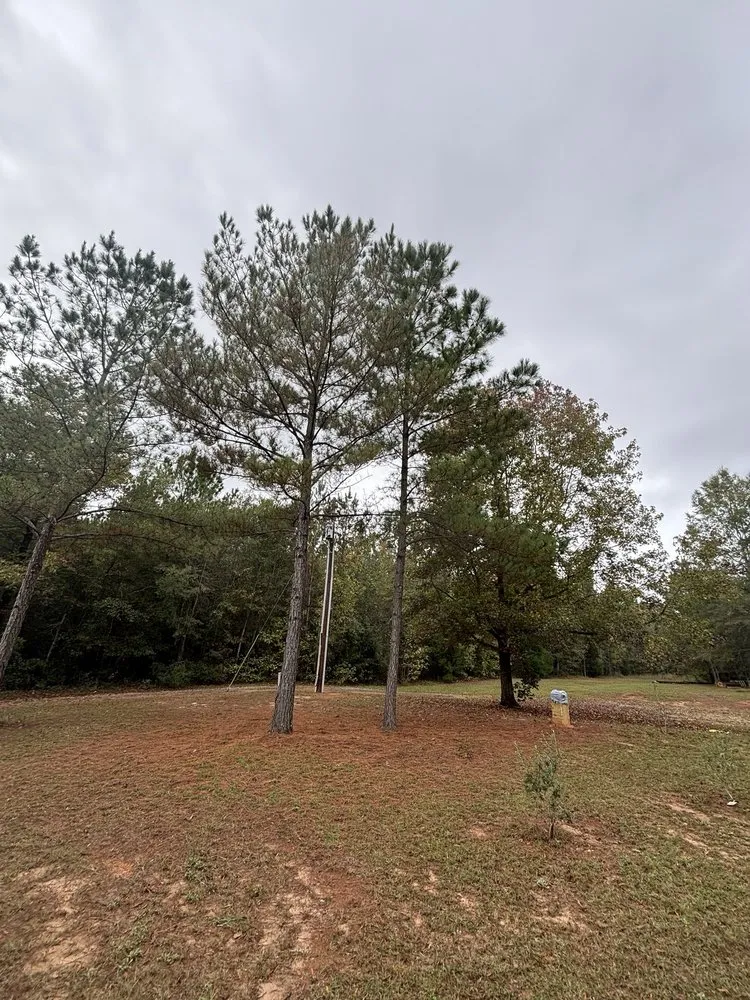 Professional yard maintenance near you across Albany, GA - A&R Global