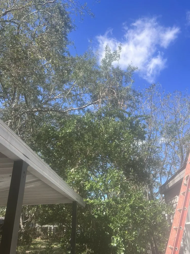 Local lawn care service in Albany, GA by A&R Global