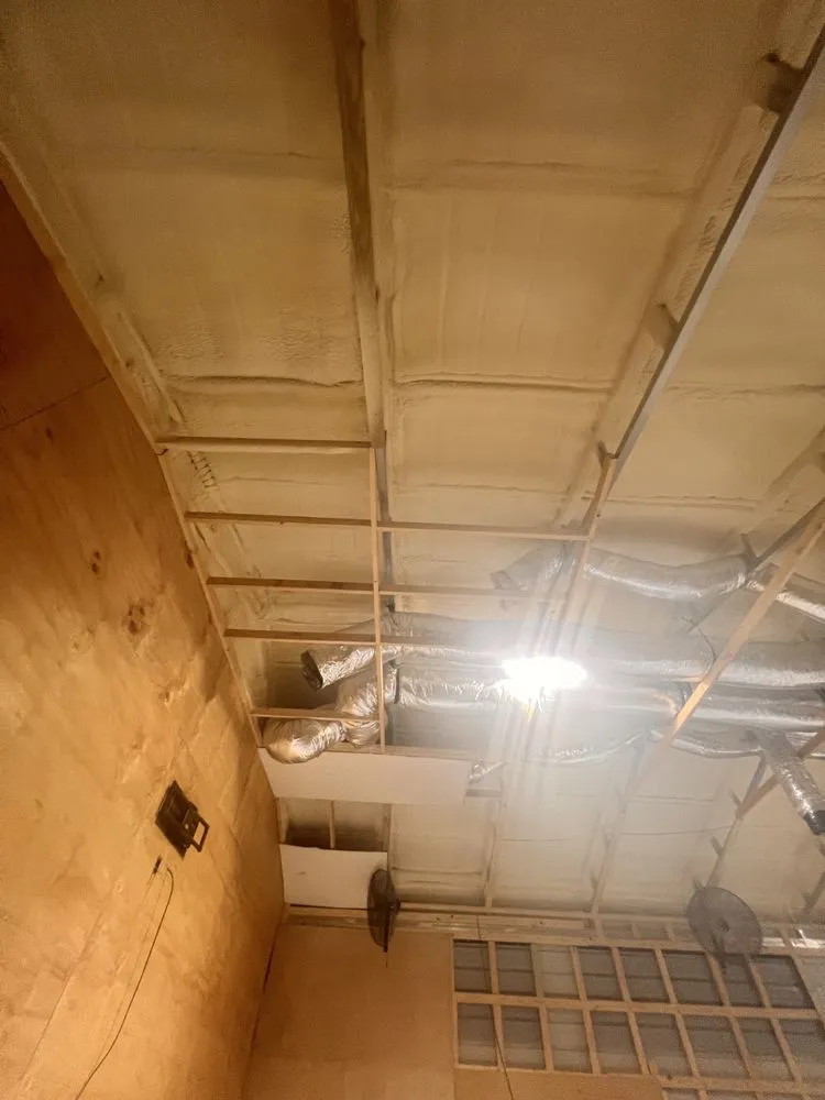 Professional landscaping services in Albany, GA by A&R Global