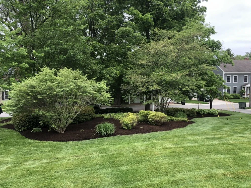 Expert yard cleanup service for homes across Frankfort, IN - A&r Home And Garden Plus Services