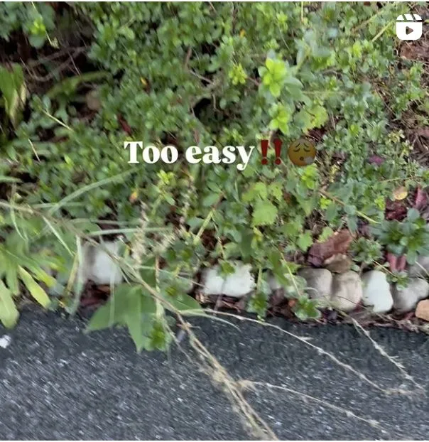 Reliable lawn care service with custom design in Clarksburg, MD by A&R Hydro