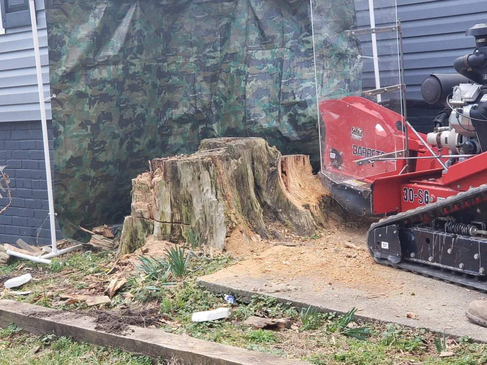 Reliable lawn care service experts serving Clemmons, NC - AR Land Enhancement