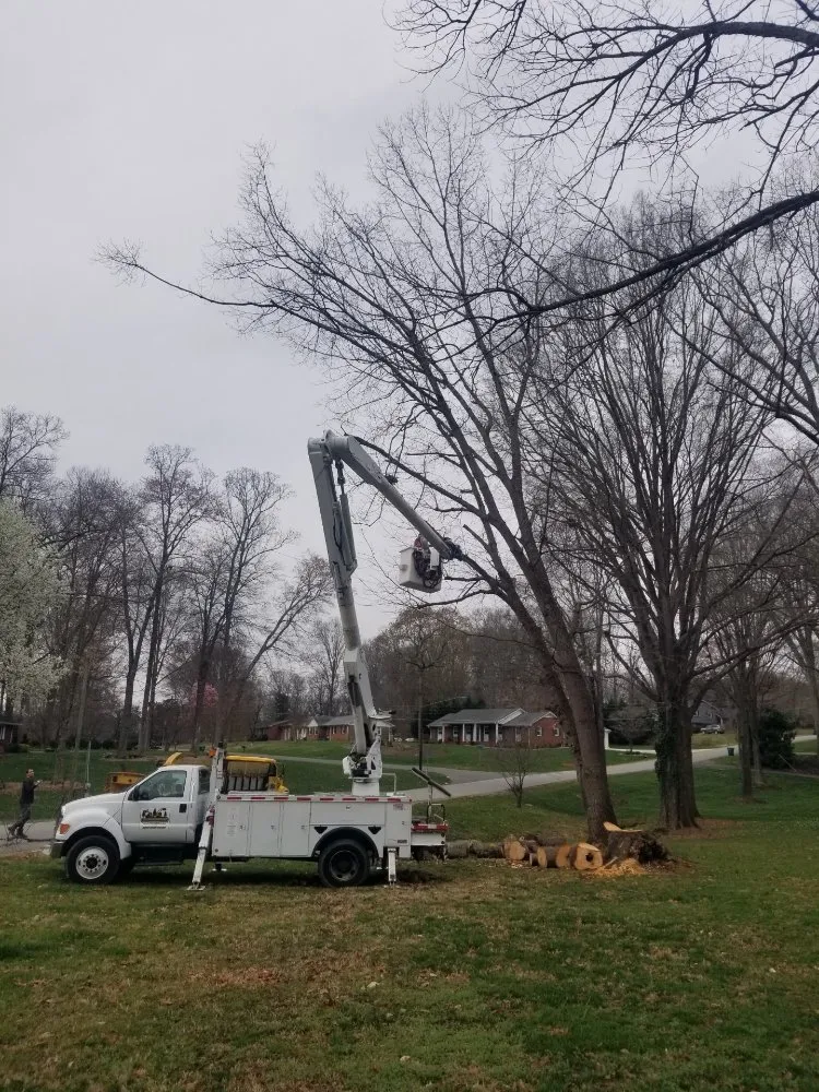Affordable lawn mowing service for residential properties in Clemmons, NC by AR Land Enhancement