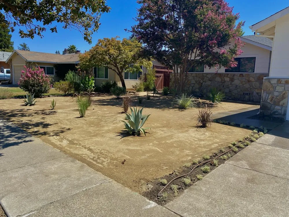 Trusted landscaping services in Spanish Flat, CA - AR Landscape & Maintenance