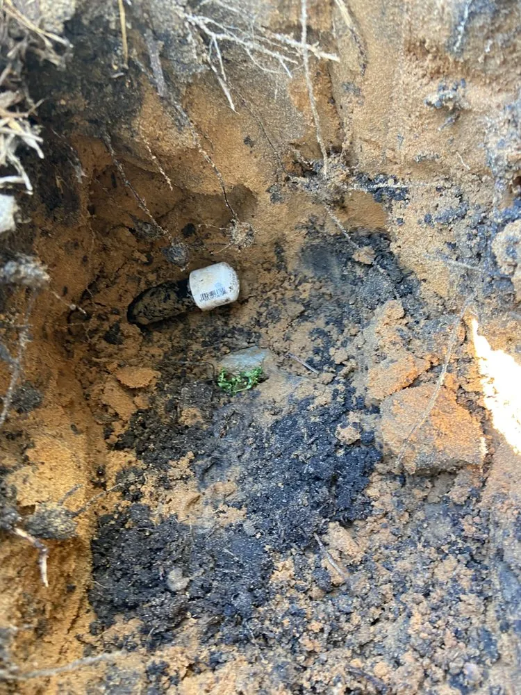 Trusted lawn care service with custom design across Ocoee, FL - AR landscaping & Gardens