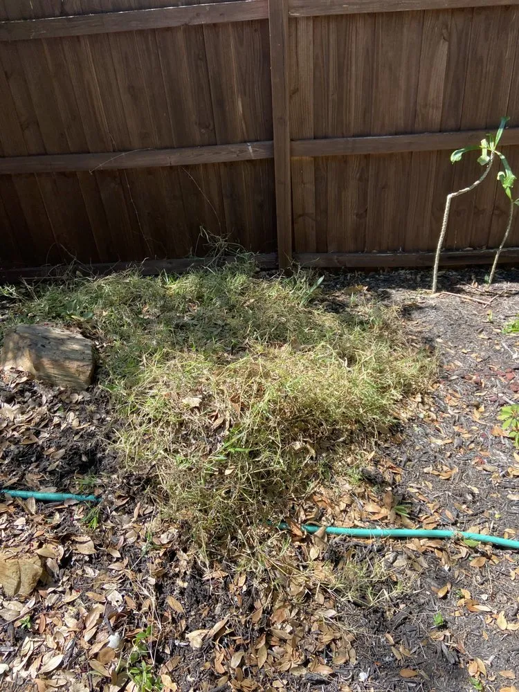 Trusted landscaping services in Ocoee, FL by AR landscaping & Gardens