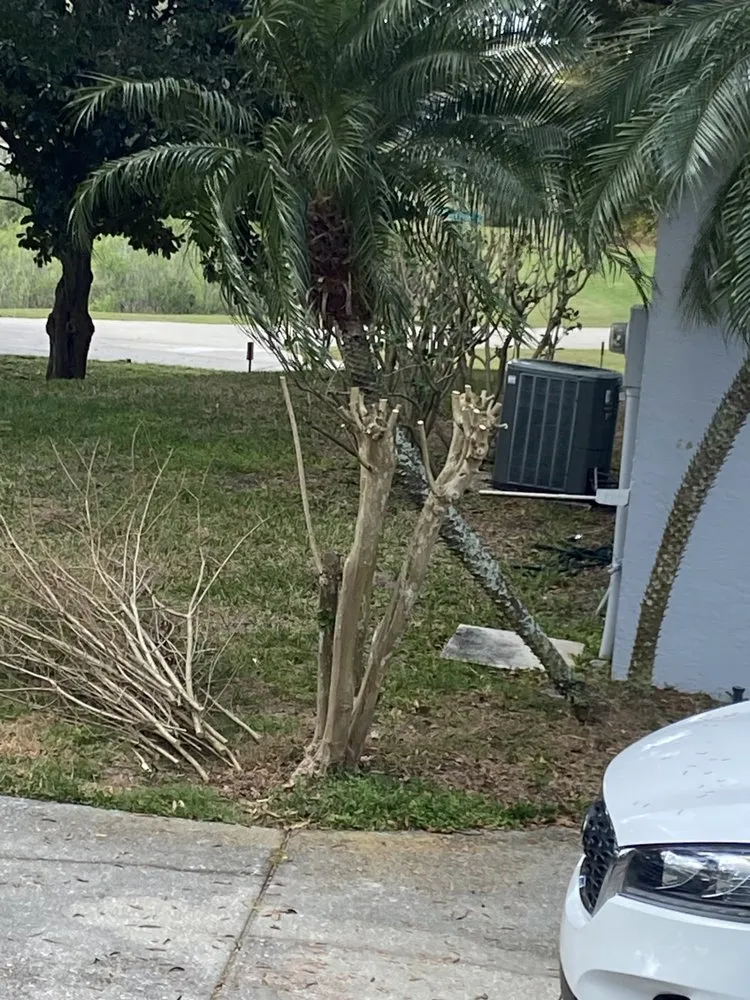 Reliable lawn mowing service experts serving Ocoee, FL - AR landscaping & Gardens