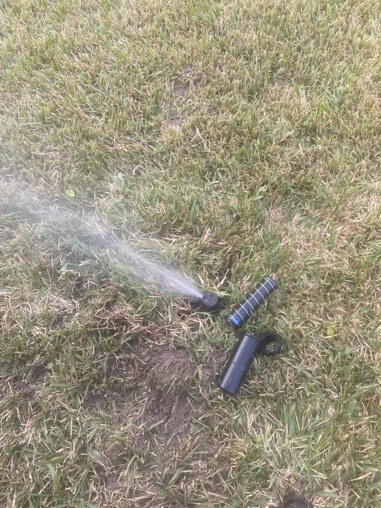 Custom lawn care service experts serving Ocoee, FL - AR landscaping & Gardens