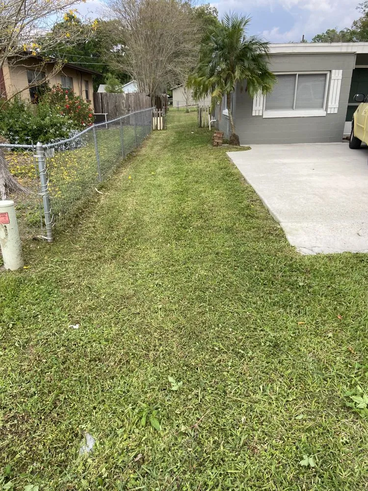 Reliable yard cleanup service in Ocoee, FL by AR landscaping & Gardens