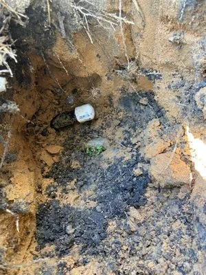 AR landscaping & Gardens Logo