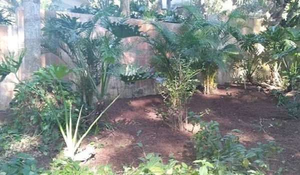 Top-rated landscape installation in Lacey Township, NJ - A&R Landscaping & Irrigation