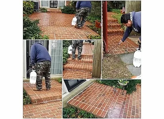 Top-rated yard cleanup service experts serving Stafford, VA - A&R Landscaping & Maintenance