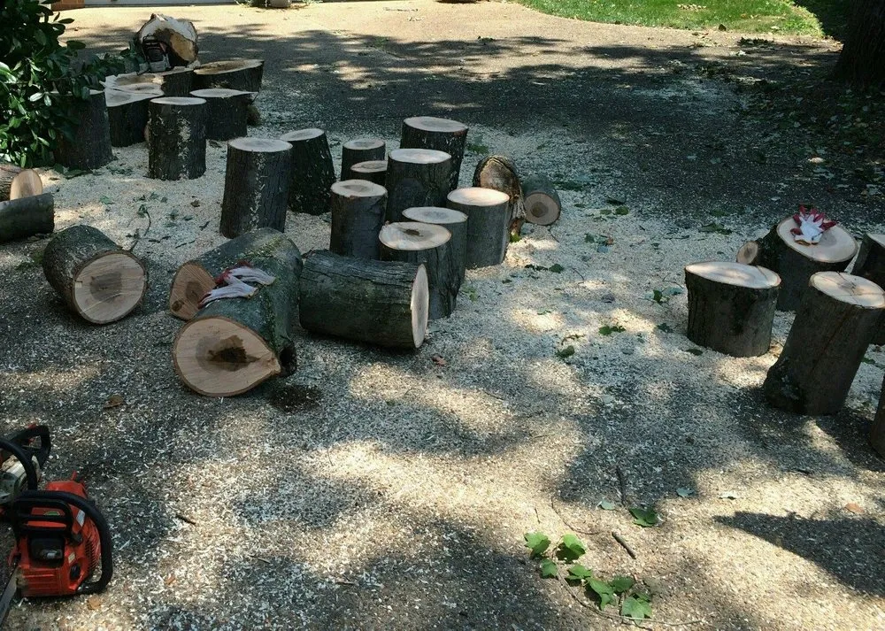 Expert yard cleanup service in Stafford, VA - A&R Landscaping & Maintenance