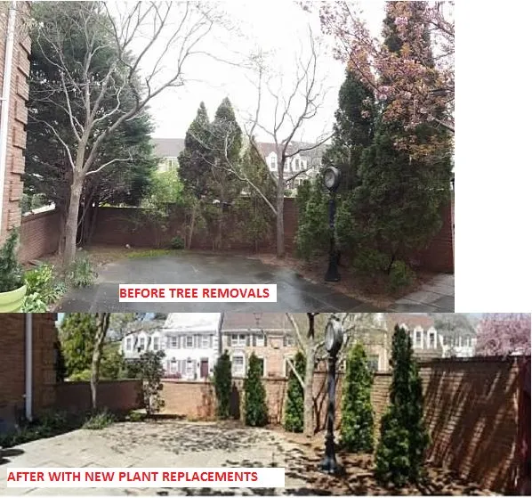 Affordable residential landscaping near you in Stafford, VA by A&R Landscaping & Maintenance