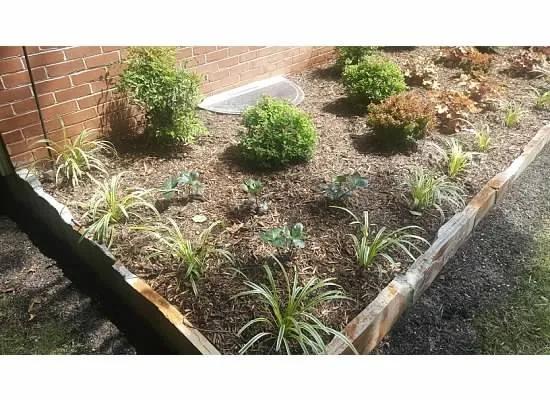 Affordable yard maintenance with custom design across Stafford, VA - A&R Landscaping & Maintenance