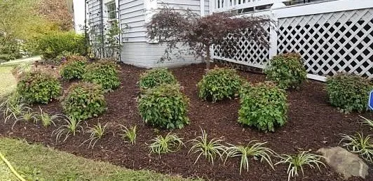 Expert lawn care service experts serving Stafford, VA - A&R Landscaping & Maintenance