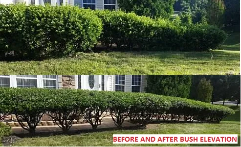 Top-rated garden landscaping experts serving Stafford, VA - A&R Landscaping & Maintenance